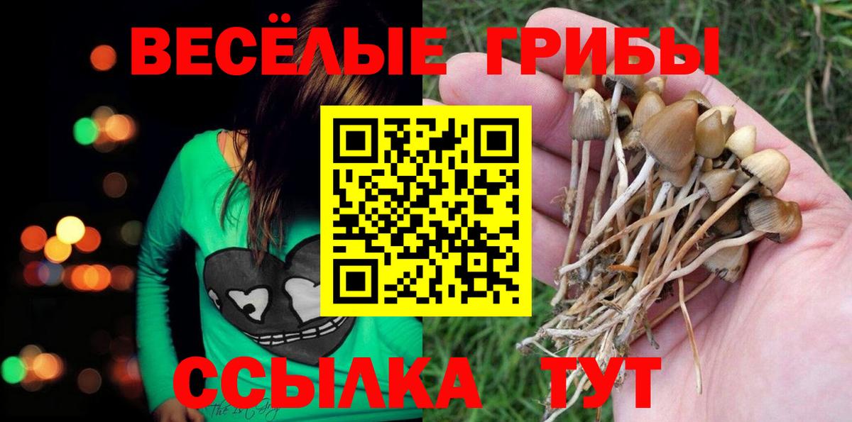 Галлюциногенные грибы мицелий Таганрог
